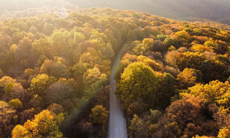 “علّي صوتك”.. الفن في مواجهة الفقر والمشكلات الاجتماعية